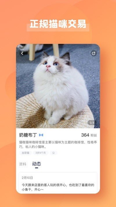 寵醬官方版