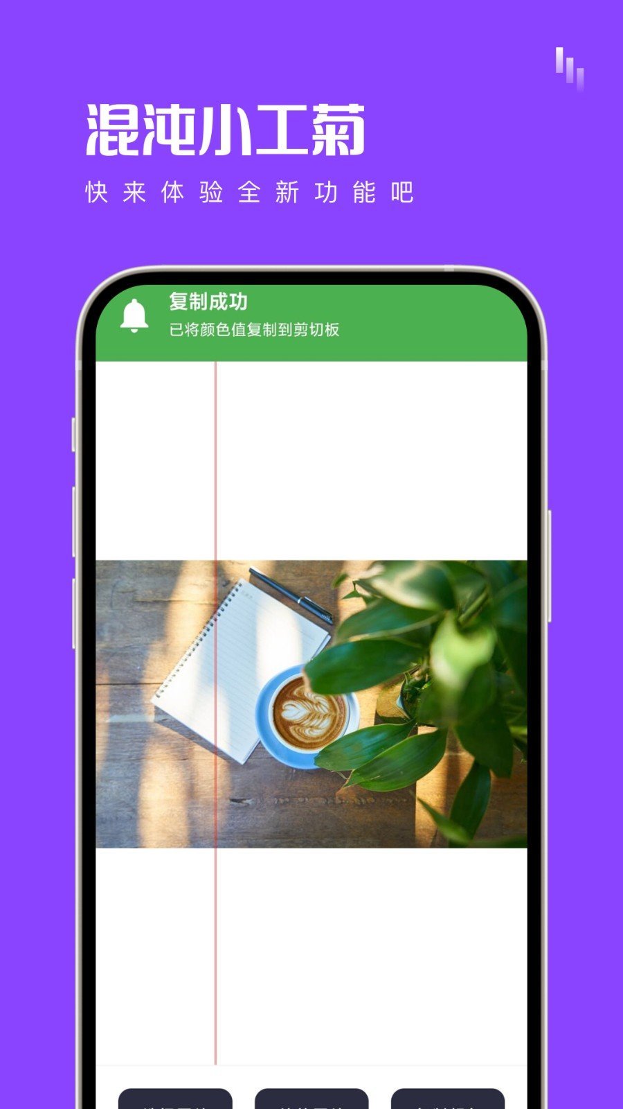 混沌小工菊截圖
