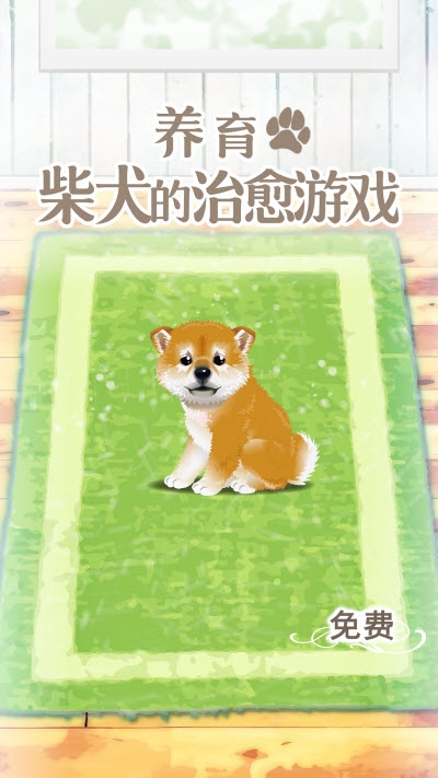 養(yǎng)育柴犬的治愈游戲截圖