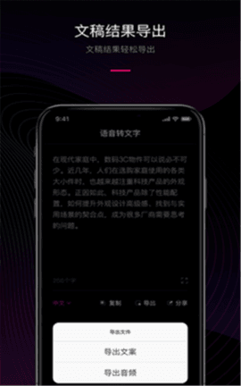 聲音轉(zhuǎn)文字工具截圖