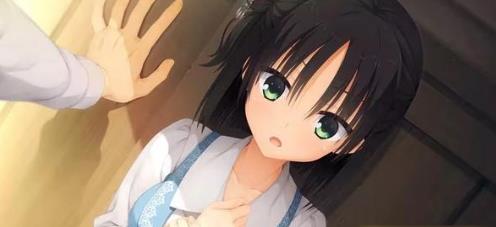 千恋万花冷狐版