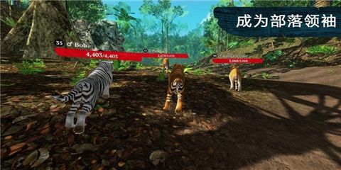 老虎森林捕獵