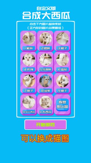 自定義版合成大西瓜游戲安卓版