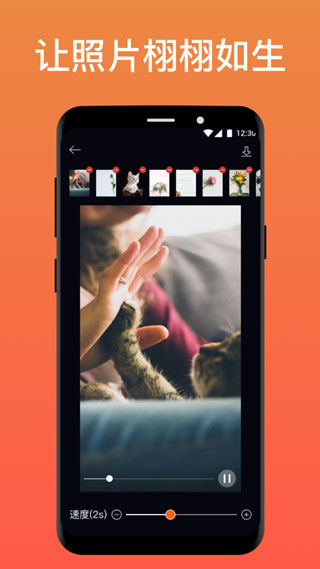 pixaloop 正版