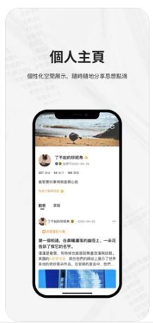 鳳凰秀截圖