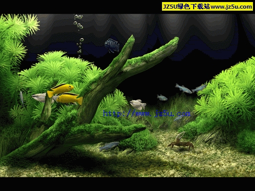 梦幻水族馆Dream Aquarium 1.0400汉化绿色修正版