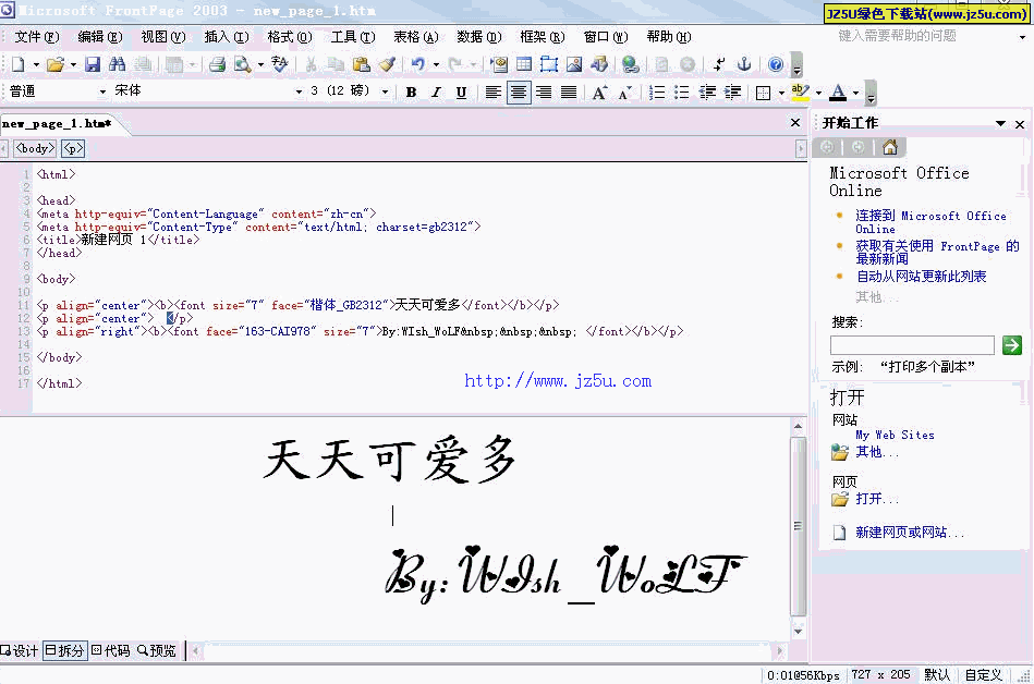 Frontpage 2003簡體中文精簡綠色單文件版