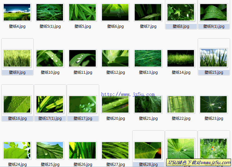 炎炎夏日給您帶來一絲涼意【精心收集40余張綠色情懷高清壁紙打包】