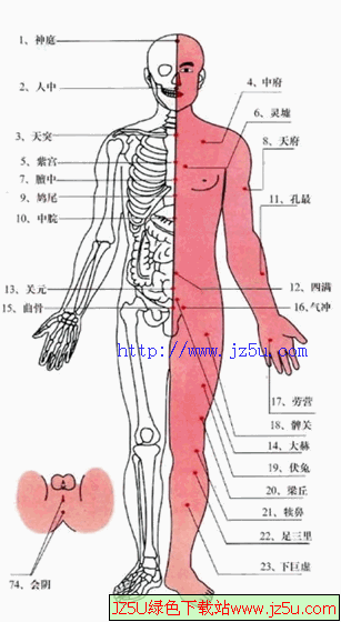常用44个穴位对症治疗<相当的专业人体穴道>Doc格式