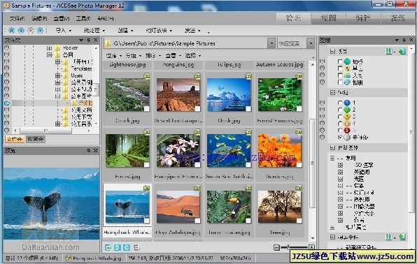 ACDSee Photo Manager 2009 V12.0.344簡體中文綠色注冊版