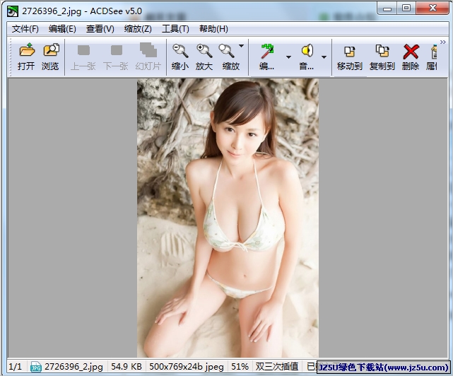 ACDSee 5.0.1.1006 漢化精簡注冊版