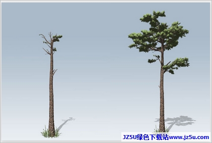SpeedTree Cinema植物素材包1.1完整版