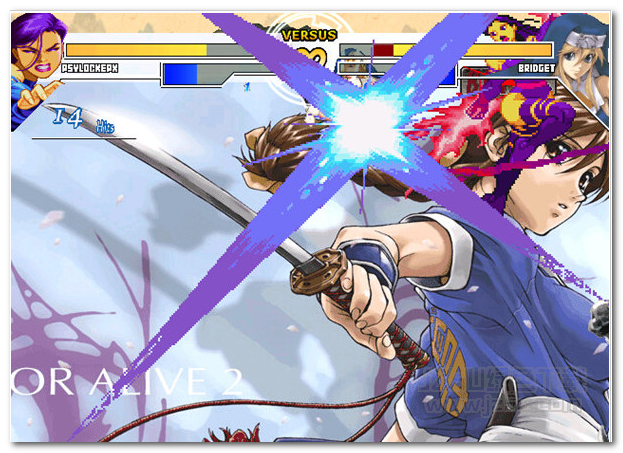 黑丸全女格斗园游戏 绿色版