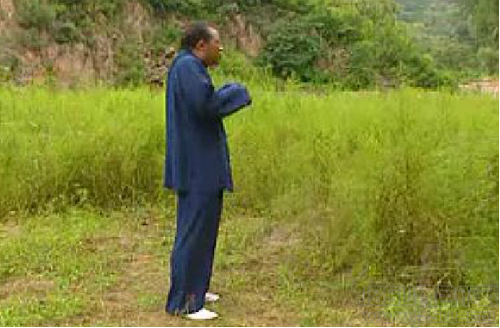 华佗五禽戏的全套演练图解 完整版