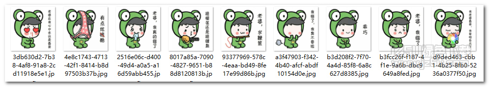 搞笑青蛙老婆我错了表情包 V1.0 绿色版