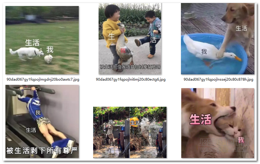 生活与我表情包 高清版