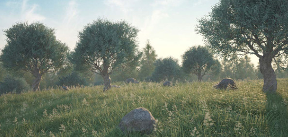 Forester工具 2019 最新版