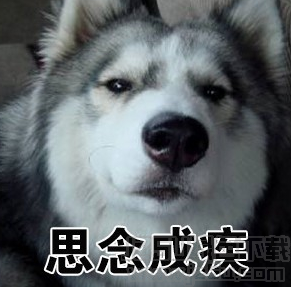 土味情话二哈表情包 高清版