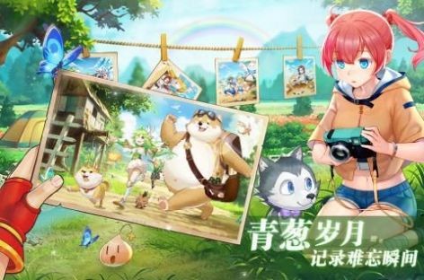 彩虹戰(zhàn)記截圖