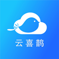 云喜鵲
