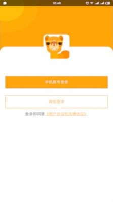 駱駝相冊截圖