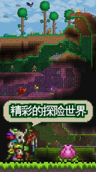 泰拉瑞亞國際版截圖