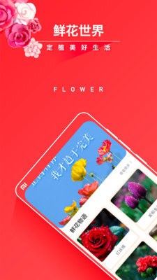 活力花截圖