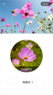 閑時賞花截圖