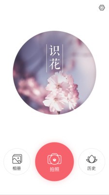 閑時賞花截圖