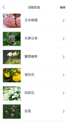 閑時賞花