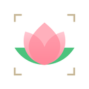 閑時賞花