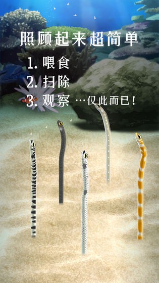 養(yǎng)育花園鰻的治愈游戲截圖