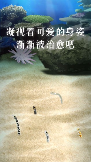 養(yǎng)育花園鰻的治愈游戲截圖