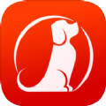 犬易管家