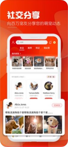 犬易管家