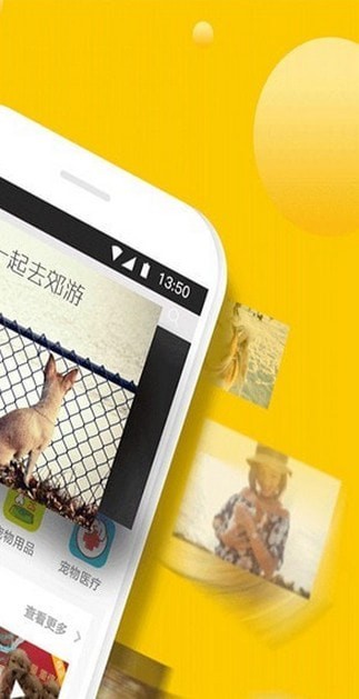 寵狐截圖
