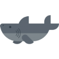 鯊魚任務(wù)