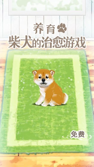 養(yǎng)育柴犬的治愈游戲漢化版截圖