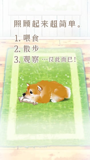 養(yǎng)育柴犬的治愈游戲漢化版截圖