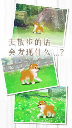 養(yǎng)育柴犬的治愈游戲漢化版