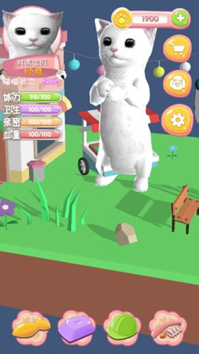 我家喵喵測(cè)試版