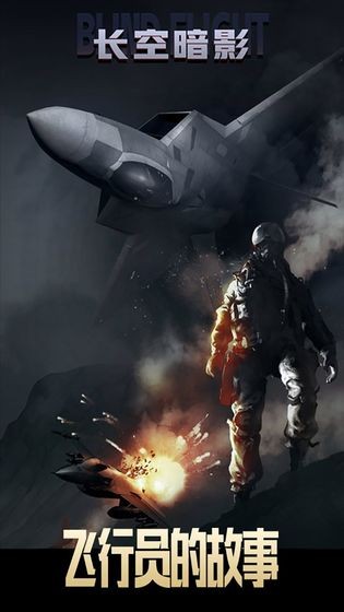 長(zhǎng)空暗影安卓版截圖