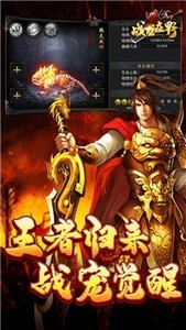 戰(zhàn)龍在野龍王傳說截圖
