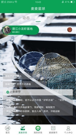 麥麥星球截圖