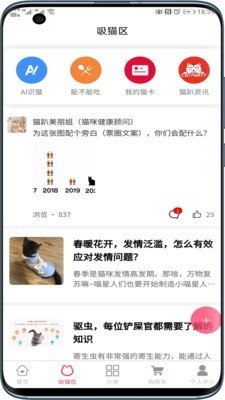 貓趴截圖
