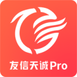 友信天誠