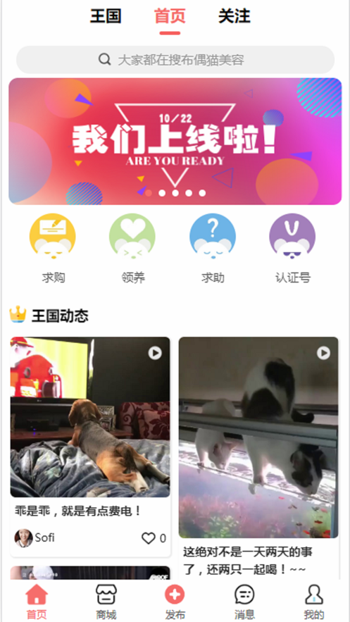 寵物王國(guó)截圖
