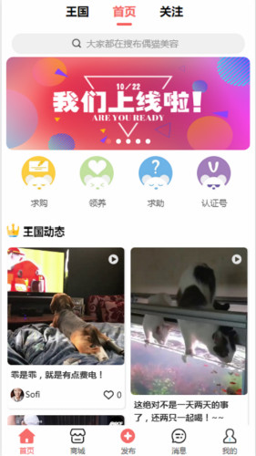 寵物王國(guó)