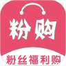 粉購電商