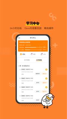 沖線鴨
